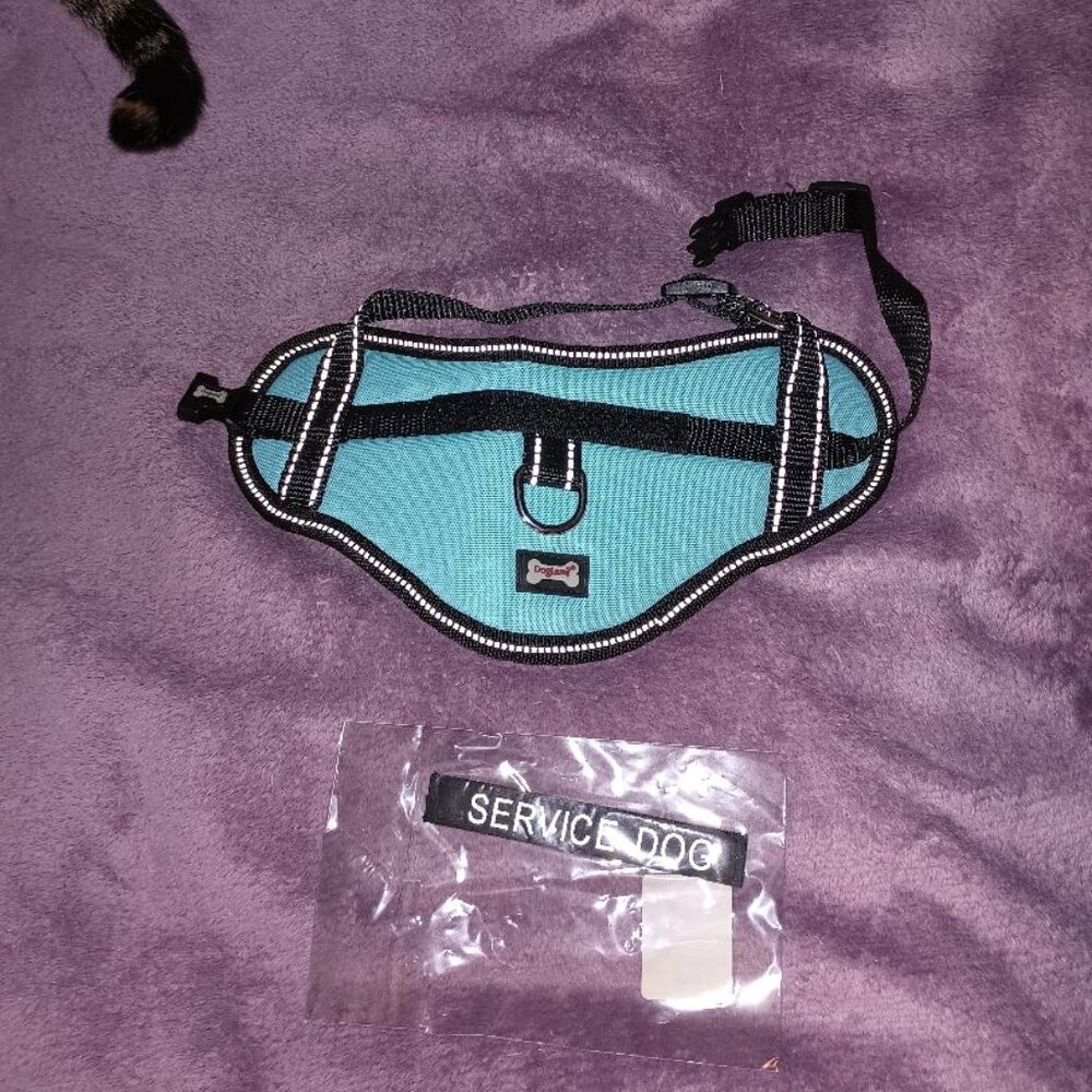 Small Aqua Blue Padded Service Dog Cat Harness Vest Velcro Labels by Doglemi